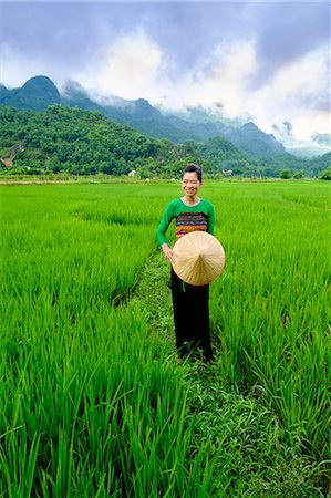Local White Tai indigenous woman in traditional clothing standing in rice fields, Mai Chau, Hoa Binh, Vietnam, Indochina, Southeast Asia, Asia Stock Photo - Rights-Managed, Code: 841-09108108