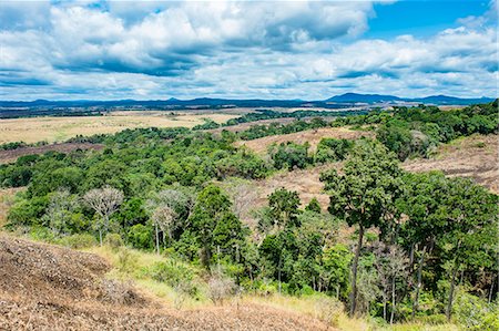 Patches of rainforest in the savannah of the Lope National Park, UNESCO World Heritage Site, Gabon, Africa Foto de stock - Con derechos protegidos, Código: 841-09108144