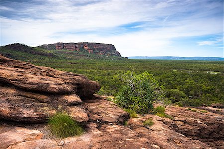 simsearch:841-03067670,k - Views from the Nadab lookout, at the sacred Aboriginal site of Ubirr, Kakadu National Park, UNESCO World Heritage Site, Northern Territory, Australia, Pacific Foto de stock - Con derechos protegidos, Código: 841-09108169