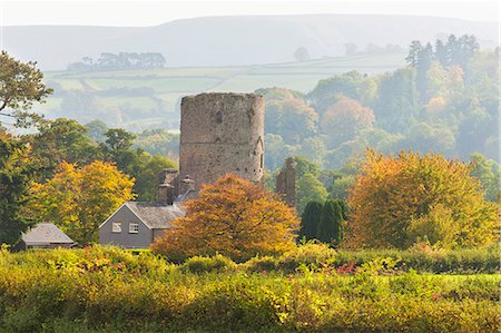 foglie d'autunno - Tretower Castle, Powys, Wales, United Kingdom, Europe Fotografie stock - Rights-Managed, Codice: 841-09108170