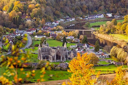 foglie d'autunno - Tintern Abbey, Wye Valley, Monmouthshire, Wales, United Kingdom, Europe Fotografie stock - Rights-Managed, Codice: 841-09108171