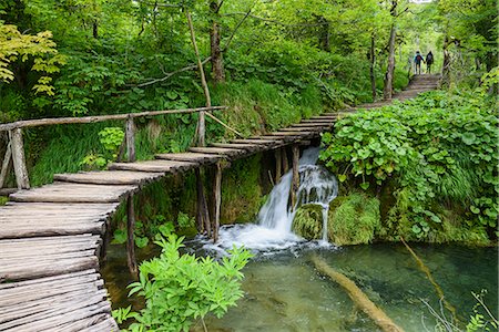 Boardwalk, Plitvice Lakes National Park, UNESCO World Heritage Site, Croatia, Europe Stock Photo - Rights-Managed, Code: 841-09119303