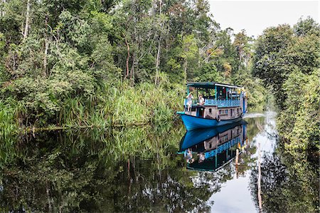 Klotok with tourists on the Sekonyer River, Tanjung Puting National Park, Kalimantan, Borneo, Indonesia, Southeast Asia, Asia Stock Photo - Rights-Managed, Code: 841-09135155