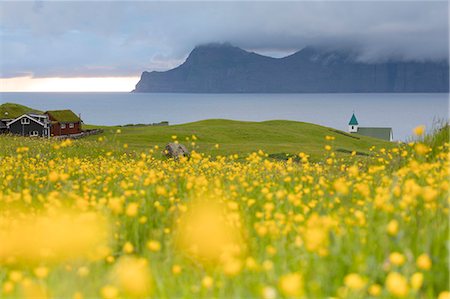 simsearch:841-09135216,k - Wild flowers on hills towards Kalsoy Island seen from Gjogv, Eysturoy Island, Faroe Islands, Denmark, Europe Fotografie stock - Rights-Managed, Codice: 841-09135201