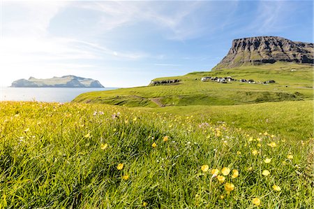 simsearch:841-09135216,k - Wild flowers in the green meadows, Gasadalur, Vagar Island, Faroe Islands, Denmark, Europe Fotografie stock - Rights-Managed, Codice: 841-09135219