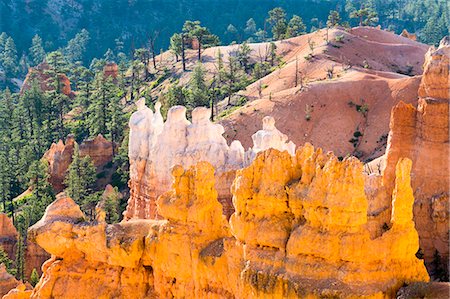 Sunrise View Piont, Bryce National Park, Utah, United States of America, North America Stock Photo - Rights-Managed, Code: 841-09135334