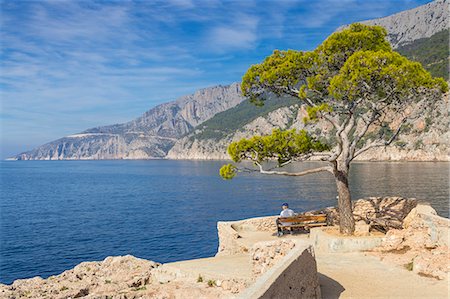 person sitting bench backside - Single pine tree at a scenic lookout in Sveta Nedjelja on Hvar Island, Croatia, Europe Stock Photo - Rights-Managed, Code: 841-09147609