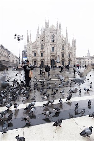 simsearch:841-09163375,k - A person feeds pigeons in Piazza Duomo (Cathedral Square), Milan, Lombardy, Northern Italy, Italy, Europe Photographie de stock - Rights-Managed, Code: 841-09163201