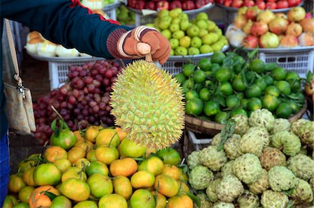 simsearch:841-08059495,k - Woman buying durian from tropical fruit stall in Morning market in Duong Dong town, Phu Quoc, Vietnam, Indochina, Southeast Asia, Asia Fotografie stock - Rights-Managed, Codice: 841-09163318