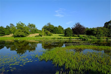 peaceful lake scene - Temple Water, Castle Ward, Winterfell Game of Thrones location, near the village of Strangford, County Down, Ulster, Northern Ireland, United Kingdom, Europe Stock Photo - Rights-Managed, Code: 841-09163412