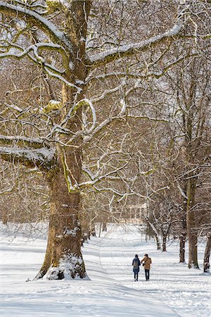 simsearch:841-09242183,k - Green Park in the snow, London, England, United Kingdom, Europe Photographie de stock - Rights-Managed, Code: 841-09163490