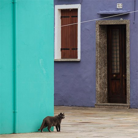 small cats side view - Burano, Venice, UNESCO World Heritage Site, Veneto Province, Italy, Europe Stock Photo - Rights-Managed, Code: 841-09163531