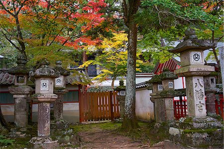 simsearch:841-09241982,k - Autumn colours at Tamukeyama Hachimangu shrine in Nara, Honshu, Japan, Asia Foto de stock - Con derechos protegidos, Código: 841-09163571