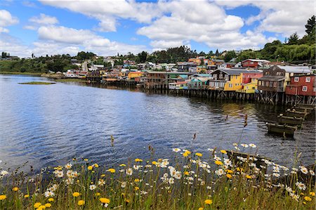 Palafitos, colourful stilt houses on water's edge, unique to Chiloe, with wild flowers, Castro, Isla Grande de Chiloe, Chile, South America Fotografie stock - Rights-Managed, Codice: 841-09174531