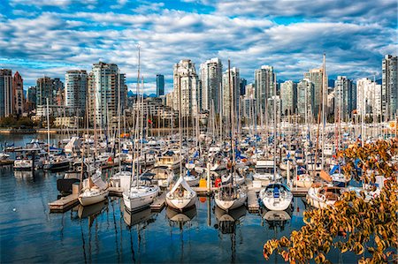 simsearch:841-05794830,k - View of Vancouver skyline and False Creek in autumn, Vancouver, British Columbia, Canada, North America Fotografie stock - Rights-Managed, Codice: 841-09174728