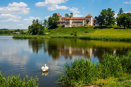 reed - Svirzh Castle, Lviv Oblast, Ukraine, Europe Stock Photo - Rights-Managed, Code: 841-09183519