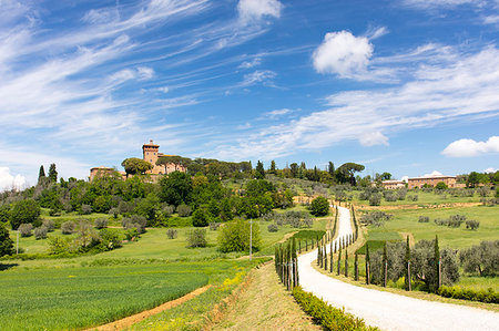 Winding path and cypress trees leading to Palazzo Massaini under blue skies near Pienza, Tuscany, Italy, Europe Photographie de stock - Rights-Managed, Code: 841-09183685