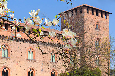 pavia - Spring at Castello Visconteo (Visconti Castle), Pavia, Pavia province, Lombardy, Italy, Europe Foto de stock - Con derechos protegidos, Código: 841-09194344