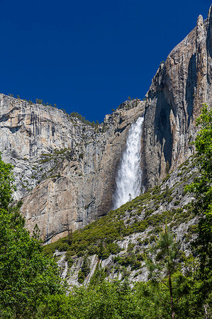 simsearch:841-02704915,k - View of Yosemite Falls from Yosemite Village, Yosemite National Park, UNESCO World Heritage Site, California, United States of America, North America Photographie de stock - Rights-Managed, Code: 841-09194784