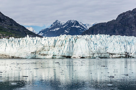 parco nazionale della baia del ghiacciaio - Lamplugh Glacier in Glacier Bay National Park, southeast Alaska, United States of America, North America Fotografie stock - Rights-Managed, Codice: 841-09204048
