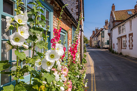 simsearch:841-09204906,k - View of side street and summer blooms, Blakeney, Norfolk, England, United Kingdom, Europe Fotografie stock - Rights-Managed, Codice: 841-09205472