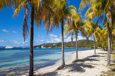 simsearch:841-09194808,k - Brittania Bay beach, Mustique, The Grenadines, St. Vincent and The Grenadines, West Indies, Caribbean, Central America Stock Photo - Rights-Managed, Code: 841-09203996