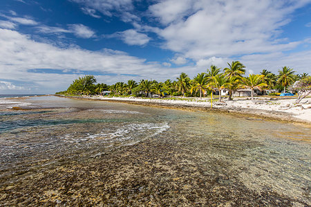 simsearch:841-09229499,k - Palm trees line the beach in the front of the town of Tapana, Niau Atoll, Tuamotus, French Polynesia, South Pacific, Pacific Foto de stock - Con derechos protegidos, Código: 841-09229497
