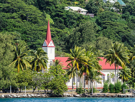 simsearch:841-09229473,k - The Protestant church near the marae of Taputapuatea, Raiatea, Society Islands, French Polynesia, South Pacific, Pacific Fotografie stock - Rights-Managed, Codice: 841-09229492