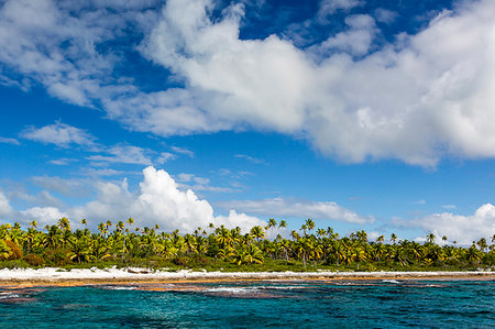 simsearch:841-09229499,k - Palm trees line the beach along the shoreline of Niau Atoll, Tuamotus, French Polynesia, South Pacific, Pacific Foto de stock - Con derechos protegidos, Código: 841-09229500