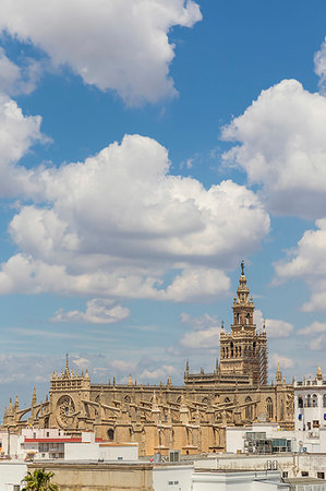 seville cathedral - View from the Golden Tower (Torre del Oro) to the Cathedral, UNESCO World Heritage Site, Seville, Andalusia, Spain, Europe Stock Photo - Rights-Managed, Code: 841-09229754