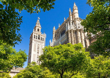 simsearch:841-09055695,k - The Cathedral of Seville and the Giralda Bell Tower seen from the inner courtyard, UNESCO World Heritage Site, Seville, Andalusia, Spain, Europe Photographie de stock - Rights-Managed, Code: 841-09229788