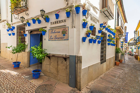 simsearch:6119-09170328,k - Hanging flowerpots on walls of typical tavern in the old alley of Calleja De Las Flores, Cordoba, Andalusia, Spain, Europe Stock Photo - Rights-Managed, Code: 841-09241958