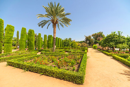 Palm trees and hedges, Jardines del Alcazar, ornamental gardens of Alcazar de los Reyes Cristianos, Cordoba, UNESCO World Heritage Site, Andalusia, Spain, Europe Stock Photo - Rights-Managed, Code: 841-09241952