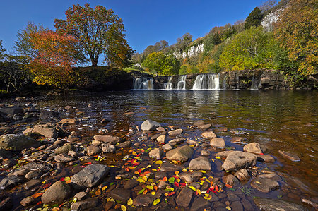 swaledale - Autumn at Wainwath Falls with Cotterby Scar in the distance, near Keld, Swaledale, Yorkshire Dales, North Yorkshire, England, United Kingdom, Europe Foto de stock - Con derechos protegidos, Código: 841-09242246