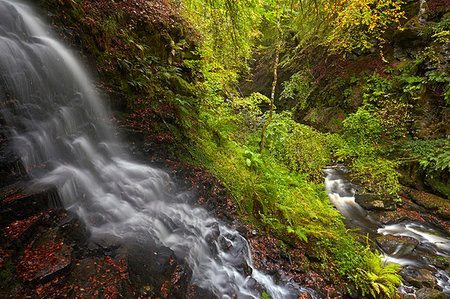 simsearch:841-09242259,k - A stream cascading into the Moness Burn which flows through the Birks of Aberfeldy, Perthshire, Scotland, United Kingdom, Europe Foto de stock - Con derechos protegidos, Código: 841-09242257