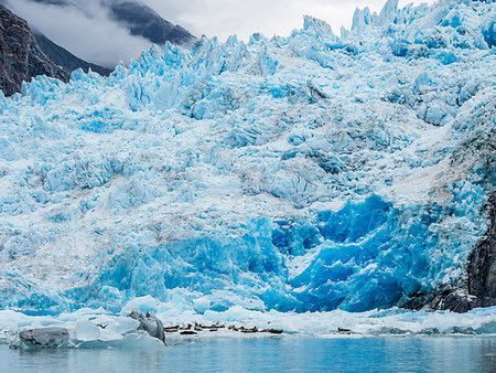 simsearch:841-09077042,k - Adult harbour seals, Phoca vitulina, hauled out on ice at South Sawyer Glacier, Tracy Arm, Alaska, United States of America Stock Photo - Rights-Managed, Code: 841-09255508