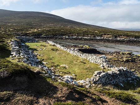 saunders island - The remains of the British Garrison established at Port Egmont in 1765 on Saunders Island, Falkland Islands, South Atlantic Ocean Foto de stock - Con derechos protegidos, Código: 841-09255561