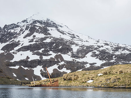 The abandoned remains of the whaling ship Brutus in Prince Olav Harbour, Cook Bay, South Georgia Island, Atlantic Ocean Photographie de stock - Rights-Managed, Code: 841-09255611