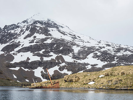 The abandoned remains of the whaling ship Brutus in Prince Olav Harbour, Cook Bay, South Georgia Island, Atlantic Ocean Foto de stock - Con derechos protegidos, Código: 841-09255611