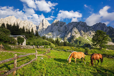 simsearch:6119-09182489,k - On the way to the Passo dei Campelli, Val di Scalve, Lombardy, Italy, Europe Stock Photo - Rights-Managed, Code: 841-09256166