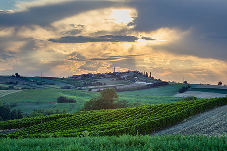 simsearch:841-07457467,k - On the Fausto Coppi's roads, the view from the Rampina, white road of the Cycling race La Mitica, from Villaromagnano to Costa Vescovado, Tortona area, Alessandria, Piedmont, Italy, Europe Photographie de stock - Rights-Managed, Code: 841-09256389