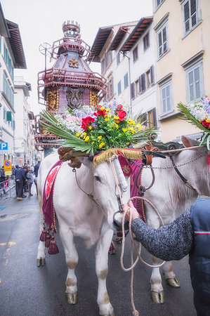simsearch:841-06343838,k - An ornate Ox cart for the Explosion of the Cart festival (Scoppio del Carro ) where on Easter Sunday a cart of pyrotechnics is lit, Florence, Tuscany, Italy, Europe Stock Photo - Rights-Managed, Code: 841-09256817