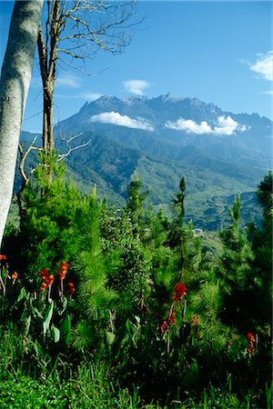 sabah - Mount Kinabalu, Sabah, Malaysia, Southeast Asia, Asia Stock Photo - Rights-Managed, Code: 841-02704128