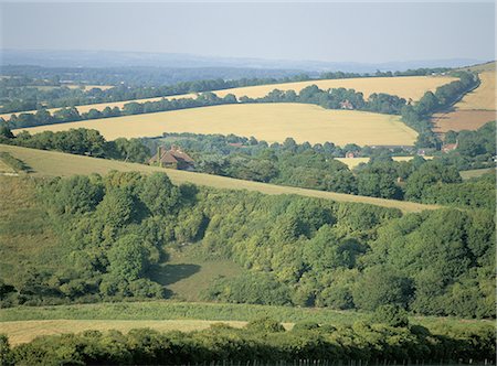 south downs england - The South Downs, East Sussex, England, United Kingdom, Europe Foto de stock - Con derechos protegidos, Código: 841-02704301