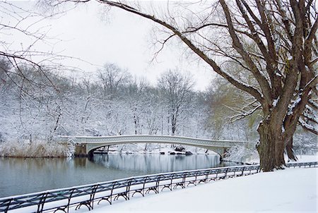 simsearch:841-02704321,k - The Bow Bridge in Central Park after a snowstorm, New York City, New York, United States of America Foto de stock - Direito Controlado, Número: 841-02704321