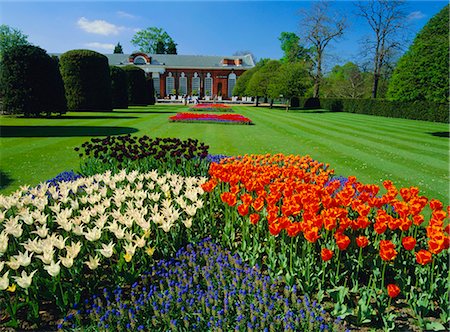 Tulipes et l'Orangerie, Kensington Palace, Kensington Gardens, Londres, Royaume-Uni Photographie de stock - Rights-Managed, Code: 841-02704388