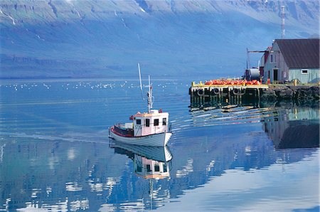 Seydisfjord, de l'east Iceland, Islande, Atlantique Nord, les régions polaires Photographie de stock - Rights-Managed, Code: 841-02704484