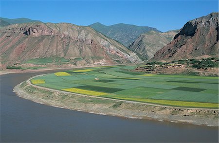 Rape and barley fields by the Yellow River at Lajia, Qinghai Province, China, Asia Stock Photo - Rights-Managed, Code: 841-02704754