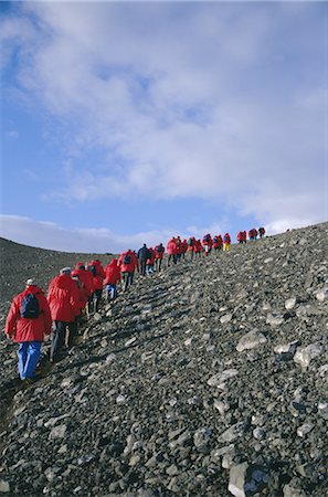 south shetland islands - Touristes croissant des cônes volcaniques récentes, Penguin Island, les îles Shetland du Sud, l'Antarctique, les régions polaires Photographie de stock - Rights-Managed, Code: 841-02704927