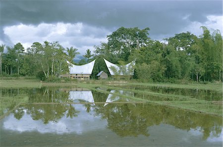 Batak houses, Lake Toba, North Sumatra, Sumatra, Indonesia, Southeast Asia, Asia Foto de stock - Con derechos protegidos, Código: 841-02705049